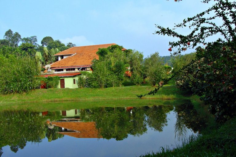 Comfortably Coorg